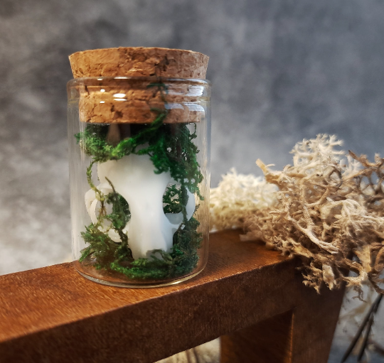 Mini cat skull in glass with moss