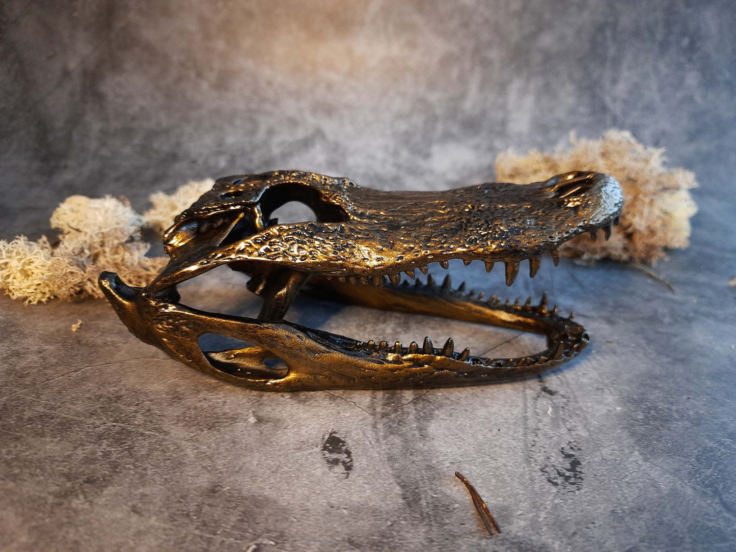 Alligator skull replica gold bronze color