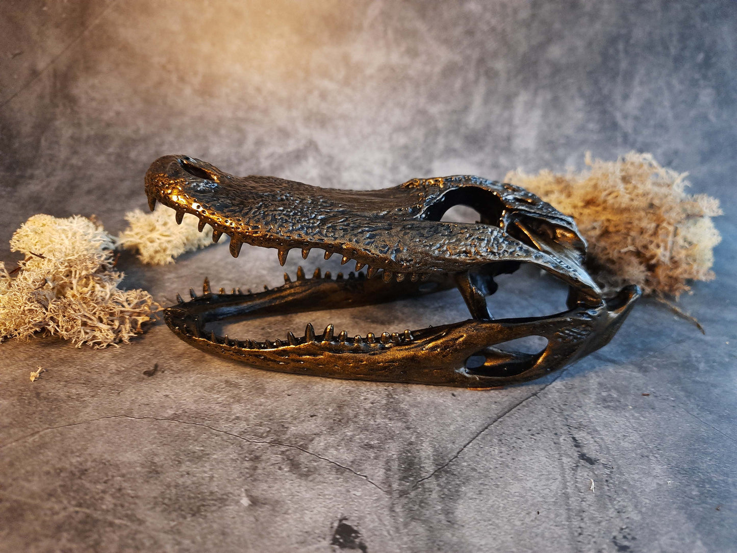 Alligator skull replica gold bronze color