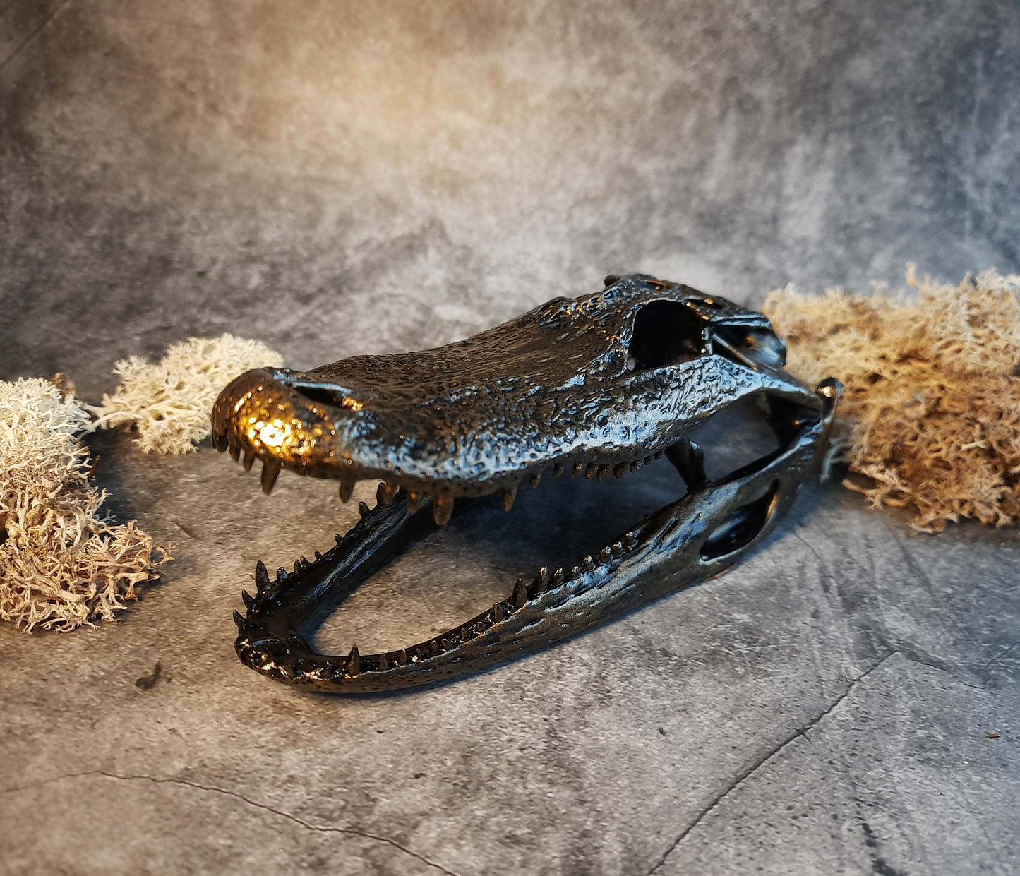 Alligator skull replica gold bronze color
