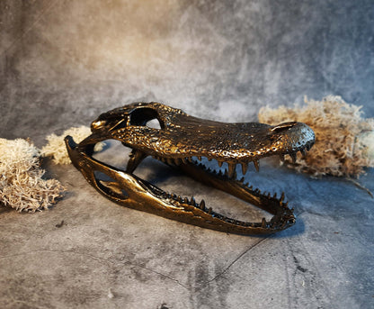 Alligator skull replica gold bronze color