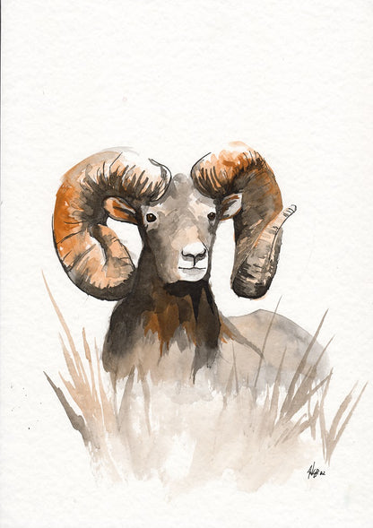 Original artwork "Bighorn"