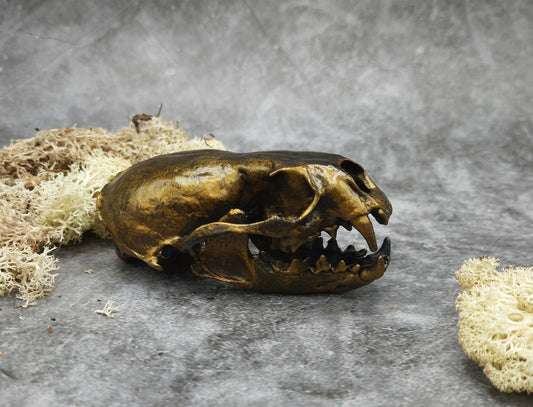 Otter skull replica gold bronze color