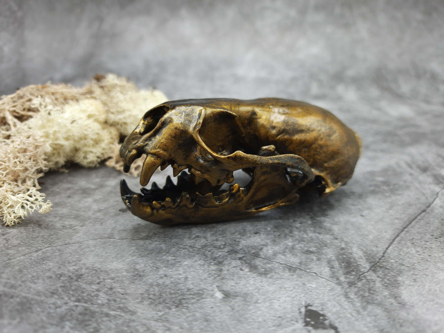 Otter skull replica gold bronze color