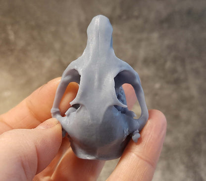 Prairie Dog Skull Replica Unpainted