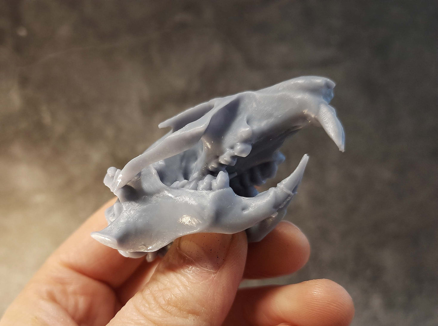 Prairie Dog Skull Replica Unpainted