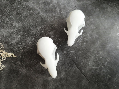 Rat skull replica white