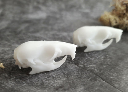 Rat skull replica white