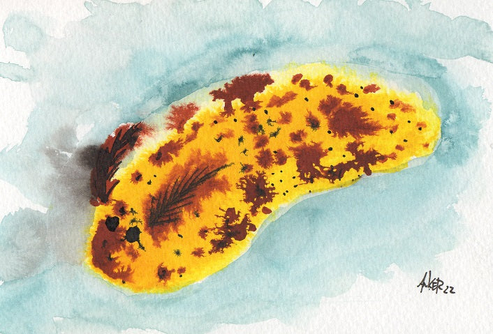 Original Artwork "Sea Hare"