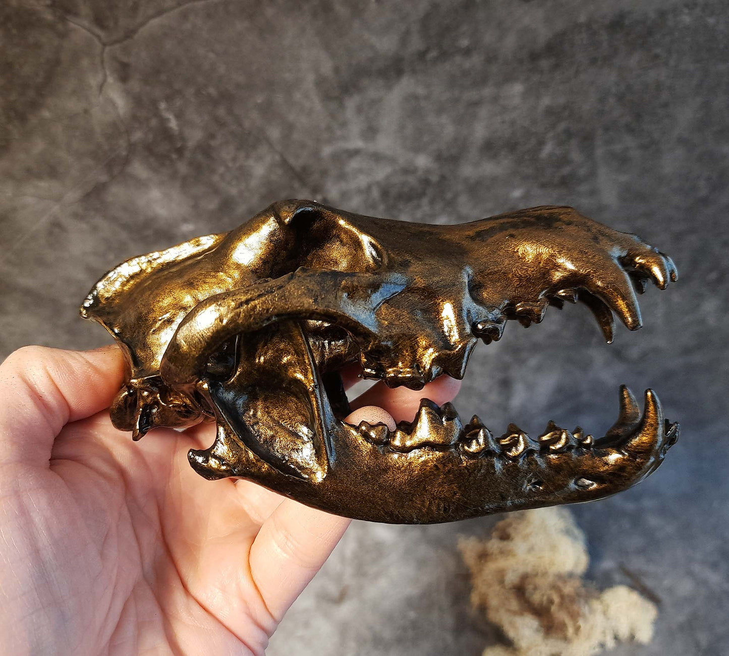 Wolf skull replica gold bronze color