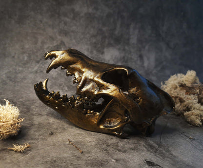 Wolf skull replica gold bronze color