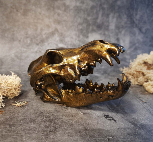 Wolf skull replica gold bronze color